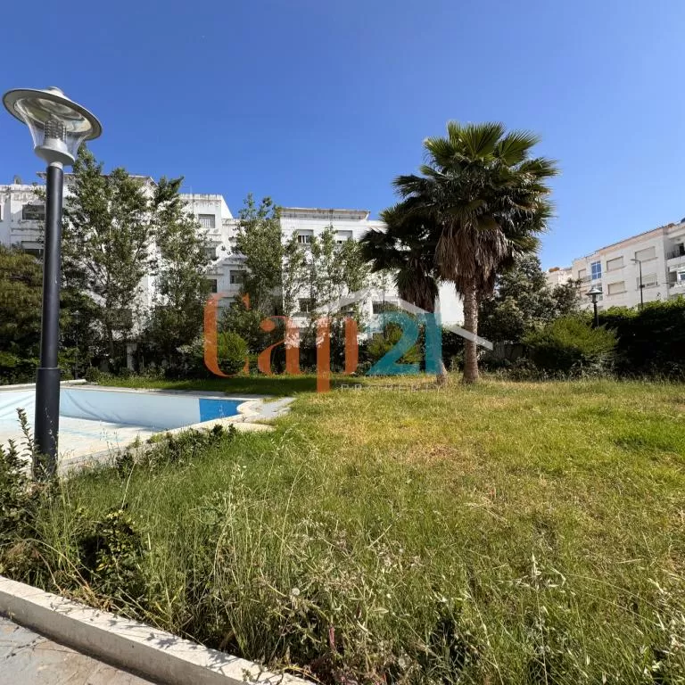 jardin - piscine